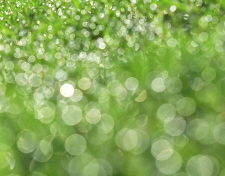 bokeh green circle light for backgroundの写真素材