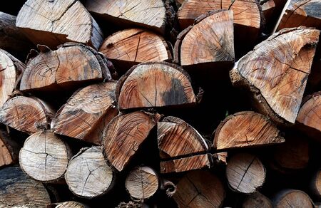 pile of old firewood for background