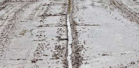 soil mud in rice field prepare for plant rice in agricultureの写真素材