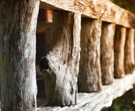 old wood fence and sunlight for backgroundの写真素材