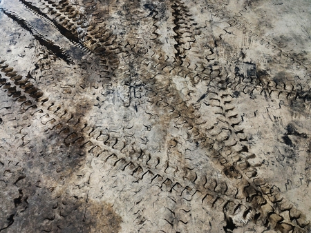 tire track of forklift on cement floorの写真素材