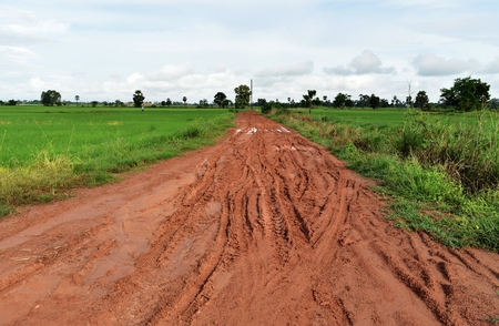 tire track of many vehicle on soil mud road in countryside in rainy seasonの写真素材