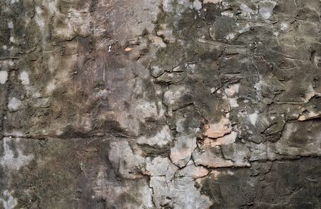 dirty old concrete for backgroundの写真素材