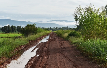 tire track of many vehicle on soil mud road in countryside in rainy seasonの写真素材