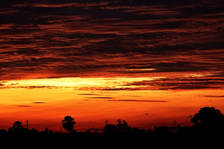 silhouette of tree and rice field  in evening before sunset in holidayの写真素材