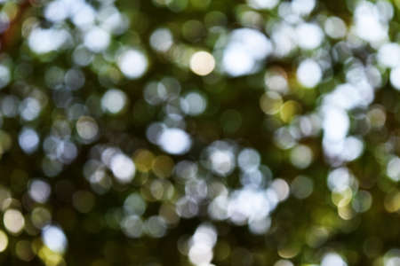 Circle green bokeh for backgroundの写真素材