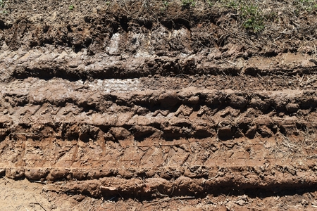 tire track of many vehicle on soil mud road in countryside in rainy seasonの写真素材