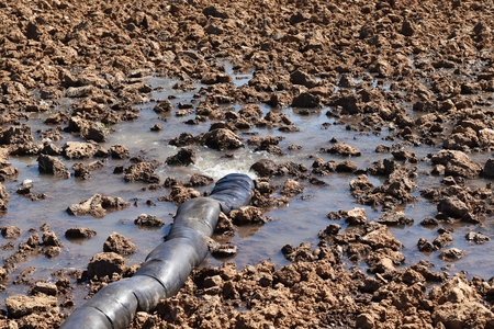 drain water in rice field prepare plant riceの写真素材