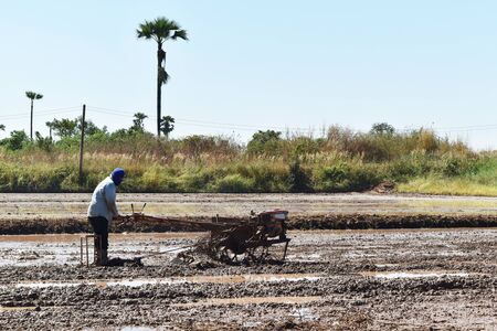 worker plowing in rice field prepare plant riceの写真素材