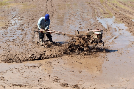 worker plowing in rice field prepare plant riceの写真素材