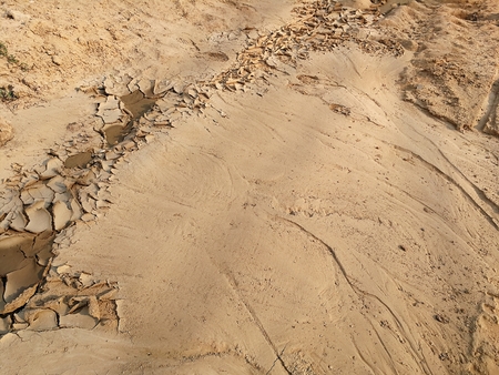 surface dry soil for baclground