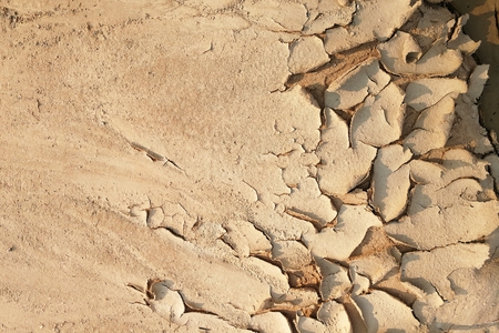 surface dry soil for baclground