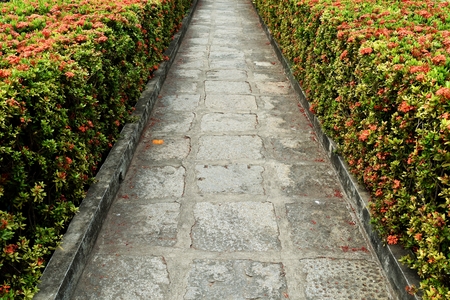 old walkway in gardenの写真素材