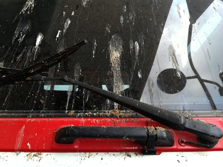 excrete bird on windshield of truckの写真素材