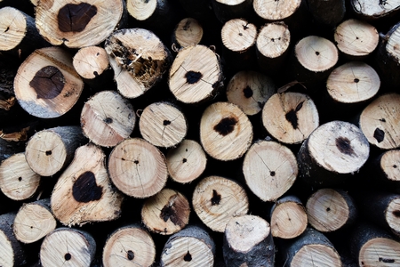 pile of old firewood for backgroundの写真素材