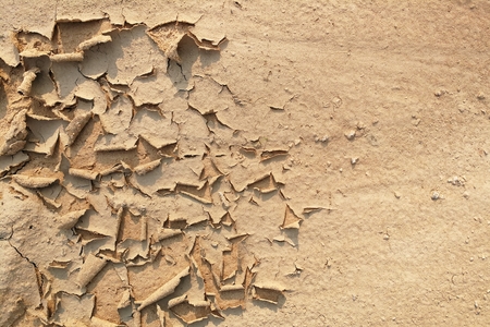 dry soil for background