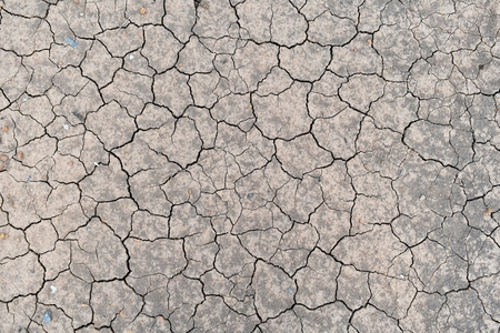 dry soil for backgroundの写真素材