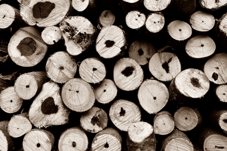 pile of brown old firewood for backgroundの写真素材
