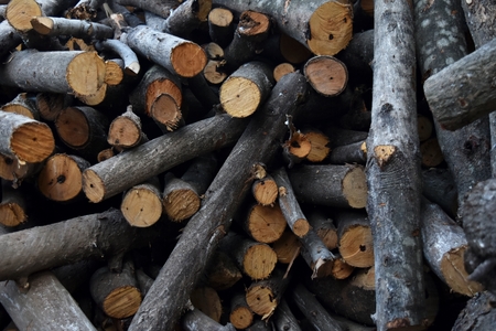 pile of old firewood