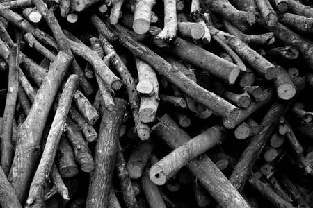 pile of brown old firewood for backgroundの写真素材