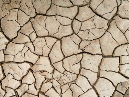 dry soil for backgroundの写真素材