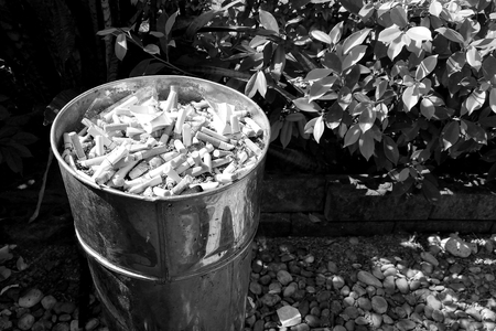 lots cigarette on sand in bin in front of toilet in black and  white photographyの写真素材