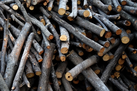 pile of old firewoodの写真素材