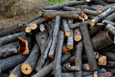 pile of old firewoodの写真素材