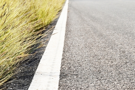 grass beside old and dirty white line on asphalt roadの写真素材