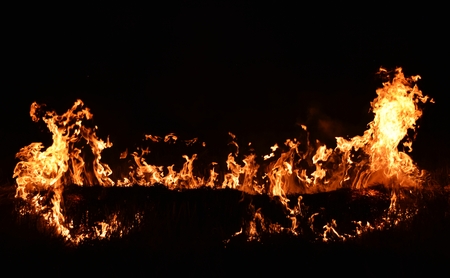 fire flame in darkness for abstract backgroundの写真素材