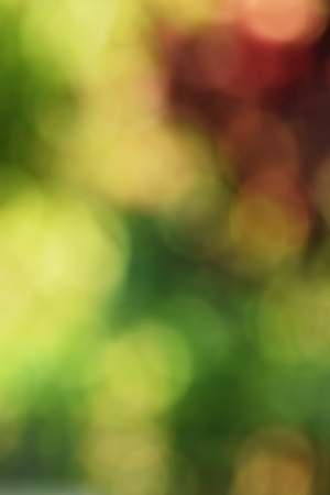 blurred light for abstract backgroundの写真素材