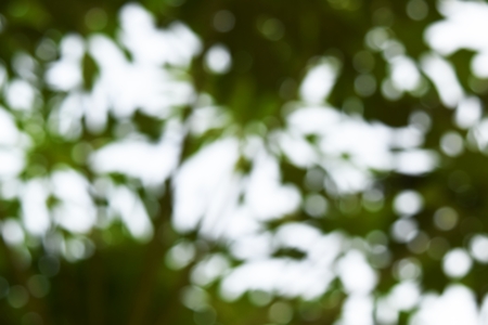 many bokeh light  for green backgroundの写真素材