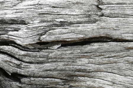 surface of old wood for backgroundの写真素材