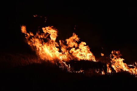 fire flame in darkness for abstract backgroundの写真素材