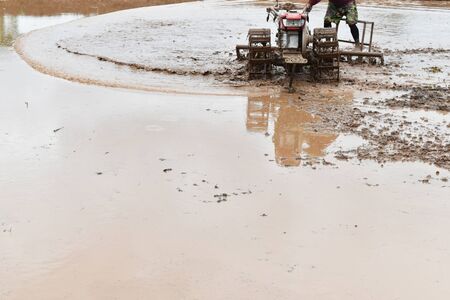 farmer plowing in rice field prepare plant rice under sunlightの写真素材