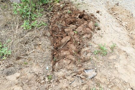 lots tire track on dirty soil ground for abstract backgroundの写真素材