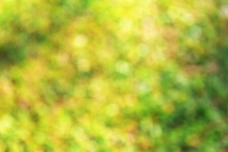 lots bokeh light for green blurred backgroundの写真素材