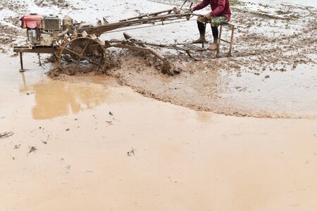 farmer plowing in rice field prepare plant rice under sunlightの写真素材