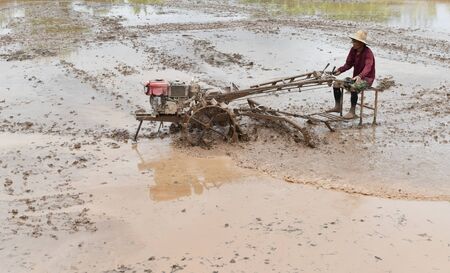 farmer plowing in rice field prepare plant rice under sunlightの写真素材