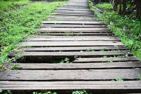 old and dirty broken wood bridge on walk wayの写真素材