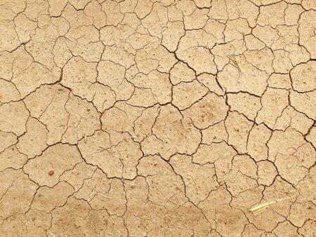 high angle view of crack soil ground for abstract natural backgroundの写真素材