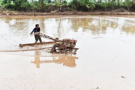 farmer plowing in rice field prepare plant rice under sunlightの写真素材