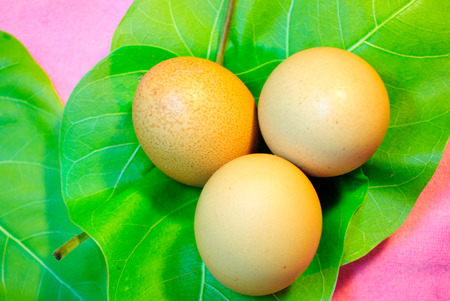 Eggs are laid by female animals of many different species, including birds, reptiles, amphibians, and fish, and have been eaten by humans for thousands of yearsの写真素材