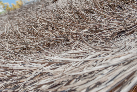 Old wood for abstract backgroundの写真素材