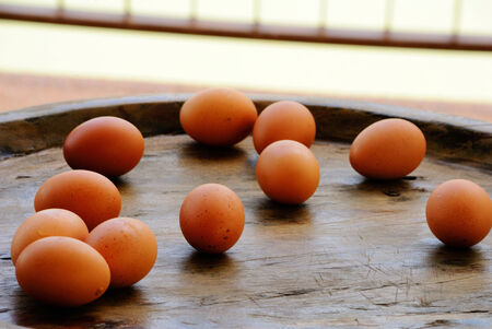 Eggs are laid on wood