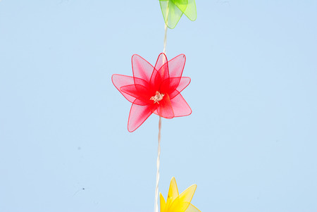 Bunch flowersの写真素材