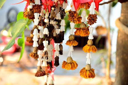 Dry Flower
