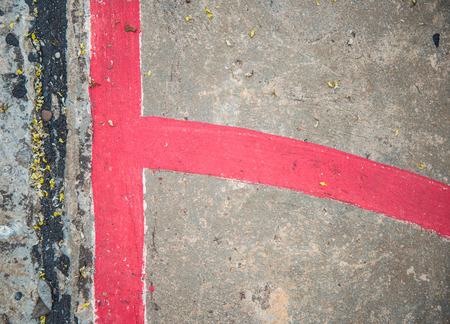 Field of rattan ballの写真素材