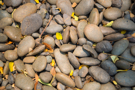 stone wall surfaceの写真素材