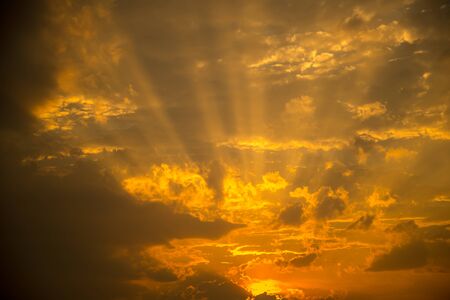 sun light.